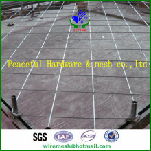 Slope Protection Net / Wire Mesh for Slope Protection / Rock Fall Protection Wire Mesh